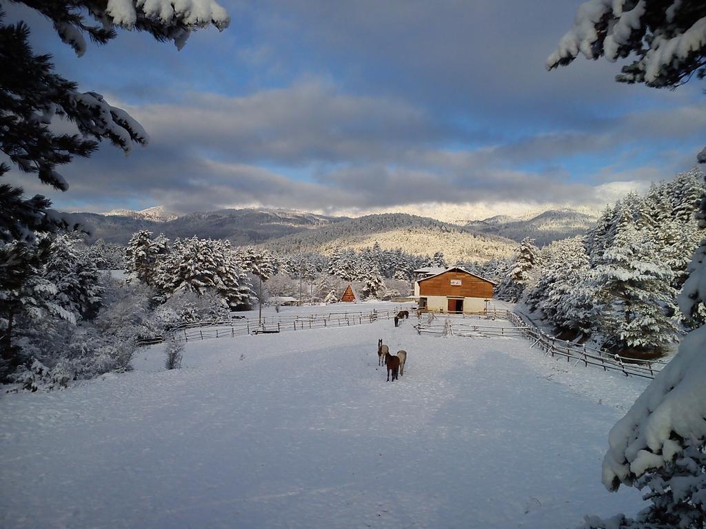 Rusaliite Adventure House Bachevo  Exterior foto